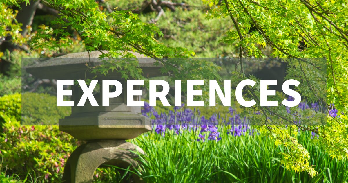 EXPERIENCES